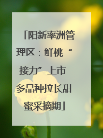 阳新率洲管理区：鲜桃“接力”上市 多品种拉长甜蜜采摘期