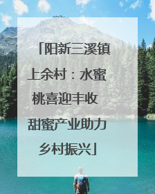 阳新三溪镇上余村：水蜜桃喜迎丰收 甜蜜产业助力乡村振兴