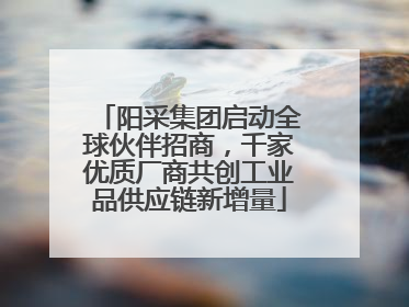 阳采集团启动全球伙伴招商，千家优质厂商共创工业品供应链新增量