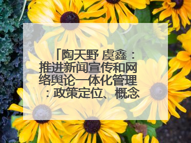 陶天野 虞鑫：推进新闻宣传和网络舆论一体化管理：政策定位、概念内涵和实践路径