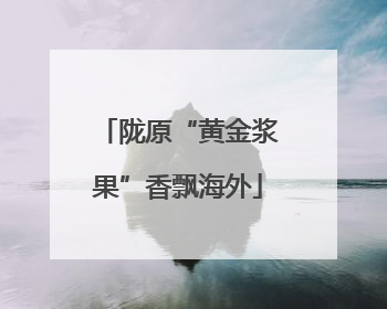 陇原“黄金浆果”香飘海外