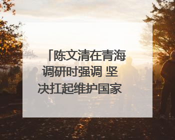 陈文清在青海调研时强调 坚决扛起维护国家安全和社会稳定职责使命 为谱写中国式现代化青海篇章贡献政法力量