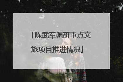 陈武军调研重点文旅项目推进情况