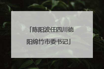 陈阳波任四川德阳绵竹市委书记