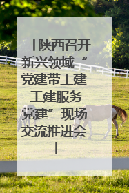 陕西召开新兴领域“党建带工建 工建服务党建”现场交流推进会