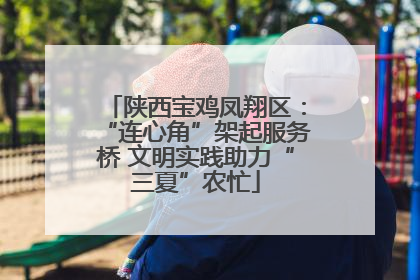 陕西宝鸡凤翔区：“连心角”架起服务桥 文明实践助力“三夏”农忙