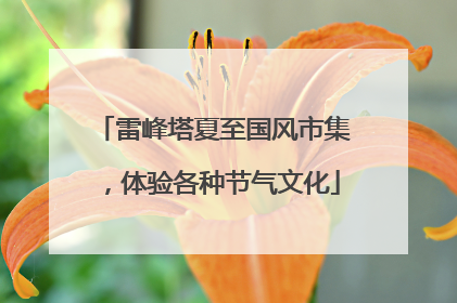 雷峰塔夏至国风市集，体验各种节气文化