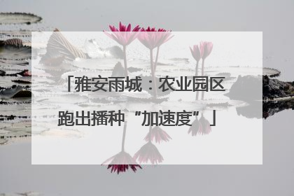 雅安雨城：农业园区跑出播种“加速度”