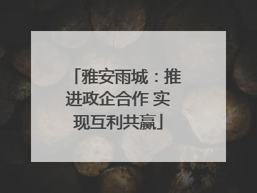 雅安雨城：推进政企合作 实现互利共赢
