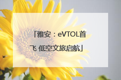雅安：eVTOL首飞 低空文旅启航