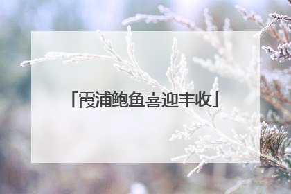 霞浦鲍鱼喜迎丰收