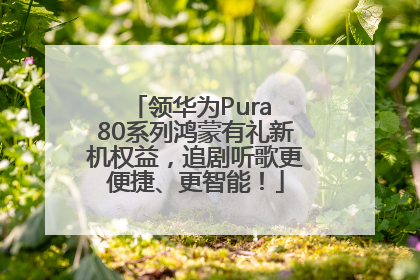 领华为Pura 80系列鸿蒙有礼新机权益，追剧听歌更便捷、更智能！