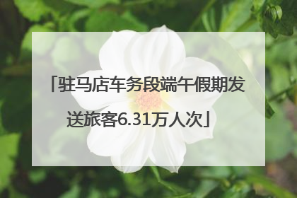 驻马店车务段端午假期发送旅客6.31万人次