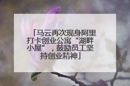 马云再次现身阿里打卡创业公寓“湖畔小屋”，鼓励员工坚持创业精神