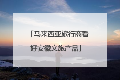 马来西亚旅行商看好安徽文旅产品