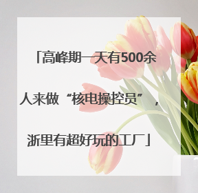 高峰期一天有500余人来做“核电操控员”，浙里有超好玩的工厂