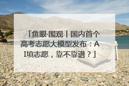 鱼眼·围观丨国内首个高考志愿大模型发布：AI填志愿，靠不靠谱？