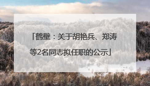 鹤壁：关于胡艳兵、郑涛等2名同志拟任职的公示