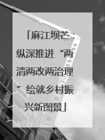 麻江坝芒：纵深推进“两清两改两治理”绘就乡村振兴新图景