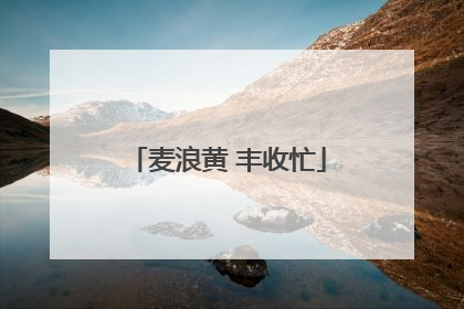 麦浪黄 丰收忙