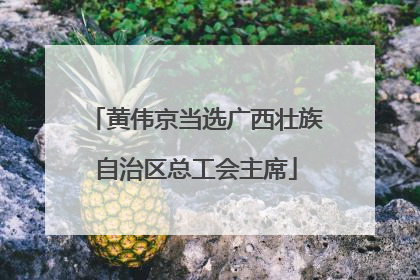 黄伟京当选广西壮族自治区总工会主席