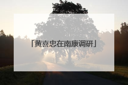 黄喜忠在南康调研