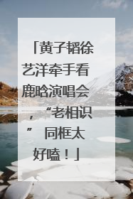 黄子韬徐艺洋牵手看鹿晗演唱会，“老相识” 同框太好嗑！