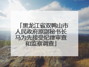 黑龙江省双鸭山市人民政府原副秘书长马为先接受纪律审查和监察调查