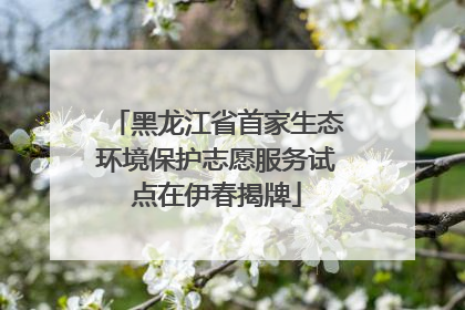 黑龙江省首家生态环境保护志愿服务试点在伊春揭牌