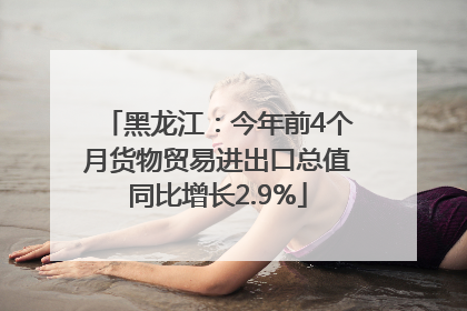 黑龙江：今年前4个月货物贸易进出口总值同比增长2.9%