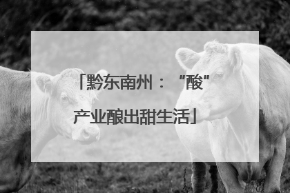 黔东南州：“酸”产业酿出甜生活