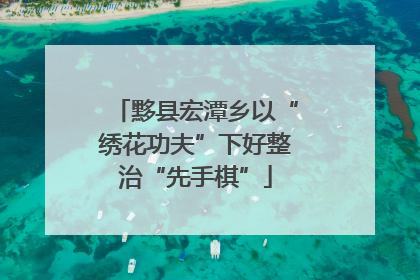 黟县宏潭乡以“绣花功夫”下好整治“先手棋”