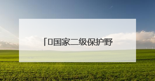 ﻿国家二级保护野生动物误食鱼钩被送医救治 郑州惠济区林业局回应
