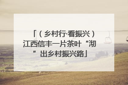 （乡村行·看振兴）江西信丰一片茶叶“沏”出乡村振兴路