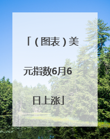 （图表）美元指数6月6日上涨