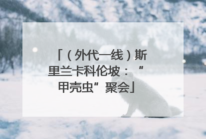 （外代一线）斯里兰卡科伦坡：“甲壳虫”聚会