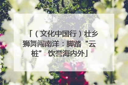 （文化中国行）壮乡狮舞闯南洋：脚踏“云桩” 饮誉海内外