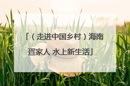 （走进中国乡村）海南疍家人 水上新生活