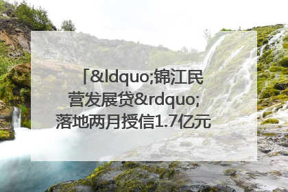 “锦江民营发展贷”落地两月授信1.7亿元，惠及118家民企