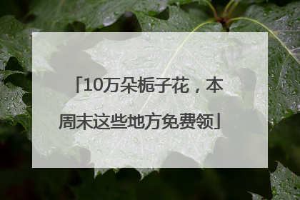 10万朵栀子花，本周末这些地方免费领