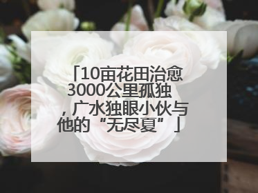 10亩花田治愈3000公里孤独，广水独眼小伙与他的“无尽夏”