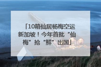 10箱仙居杨梅空运新加坡！今年首批“仙梅”抢“鲜”出国
