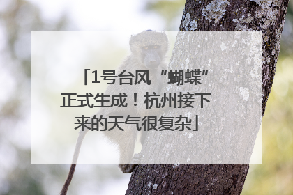 1号台风“蝴蝶”正式生成！杭州接下来的天气很复杂