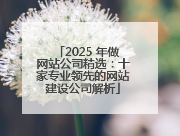 2025 年做网站公司精选：十家专业领先的网站建设公司解析