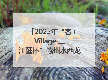 2025年“客+Village·三江匯杯”赣州水西龙舟文化节圆满落幕