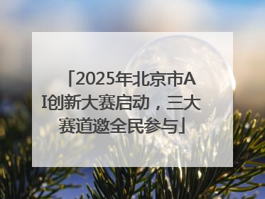 2025年北京市AI创新大赛启动，三大赛道邀全民参与