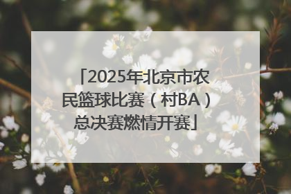 2025年北京市农民篮球比赛（村BA）总决赛燃情开赛