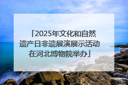 2025年文化和自然遗产日非遗展演展示活动在河北博物院举办