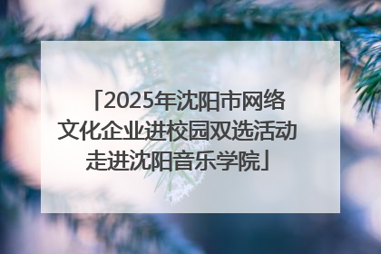 2025年沈阳市网络文化企业进校园双选活动走进沈阳音乐学院