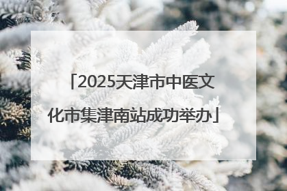 2025天津市中医文化市集津南站成功举办